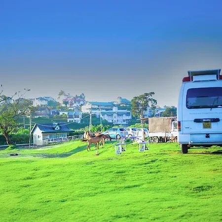 Caravan - Campsite *