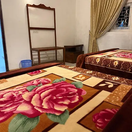 Guest house Olive Grand 3*