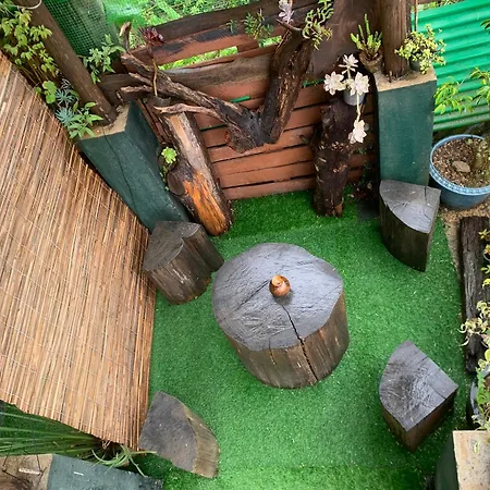 Homestay 2020 Wooden