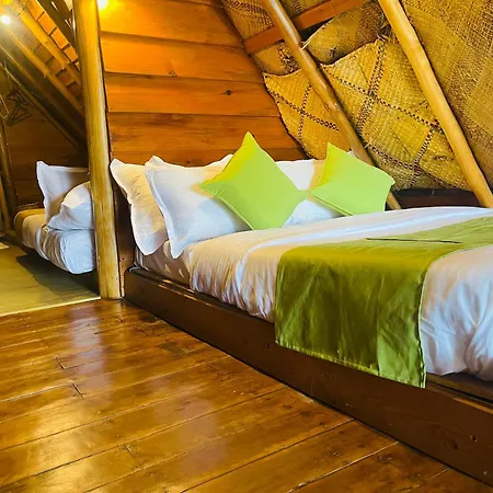 Hotel The Frost 3*