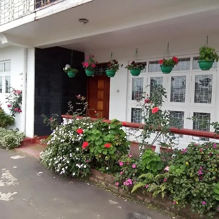Olive Grand Guest house 3*