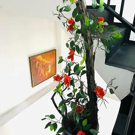Guest house Hazel Town House Nuwara Eliya