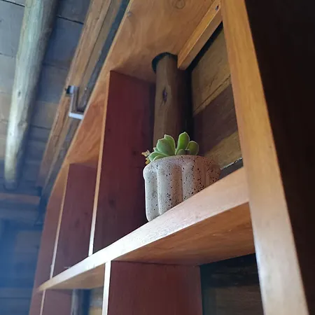 Rc Quirky Wood House