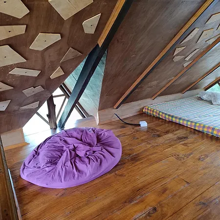Rc Quirky Wood House