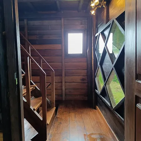 Rc Quirky Wood House