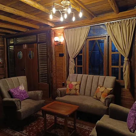 Rc Quirky Wood House *