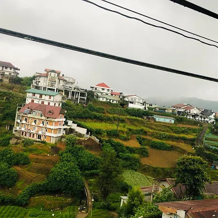 Tea Of Life * Nuwara Eliya