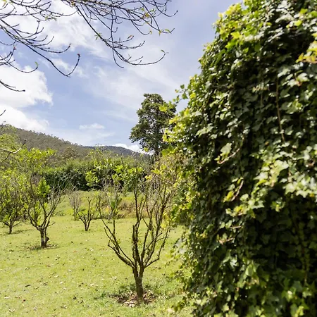 Guest house Ferncliff
