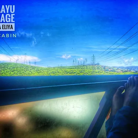 The Aayu * Nuwara Eliya
