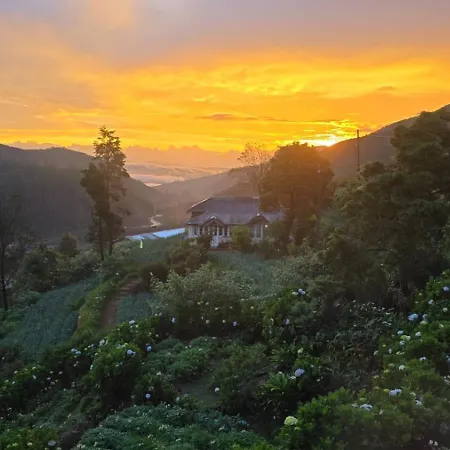Foliage Villa *