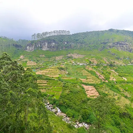 Natural View * Nuwara Eliya