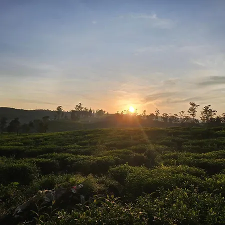 Campsite Valley Nuwara Eliya