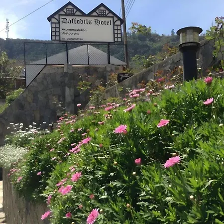 Hotel Daffodils Nuwara Eliya