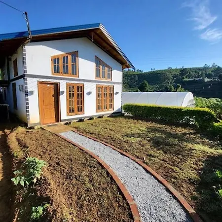 Dream Wood Villa01