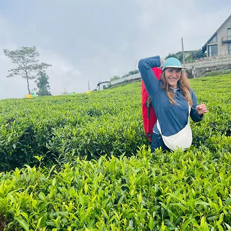 The Frost Hotel Nuwara Eliya
