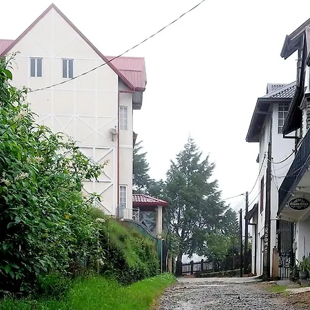 Drizzle Ridge Hotel