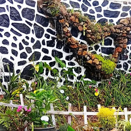 Homestay Nobel Nuwara Eliya