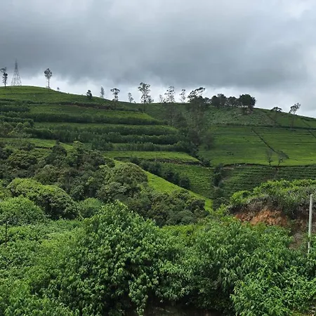 Thistest * Nuwara Eliya