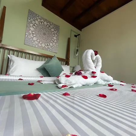 Hotel The Chapter 4*