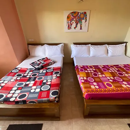 Mist - With Attached Bathrooms * Nuwara Eliya