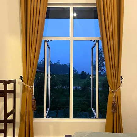 Turf Nuwara Eliya