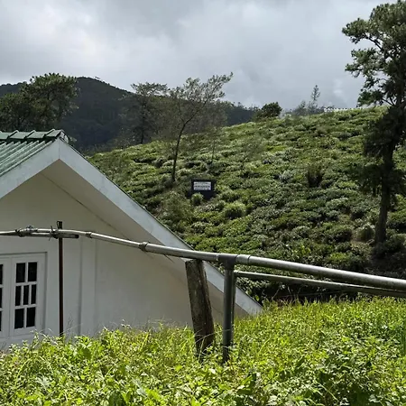 Breezy Loft - Nuwara Eliya