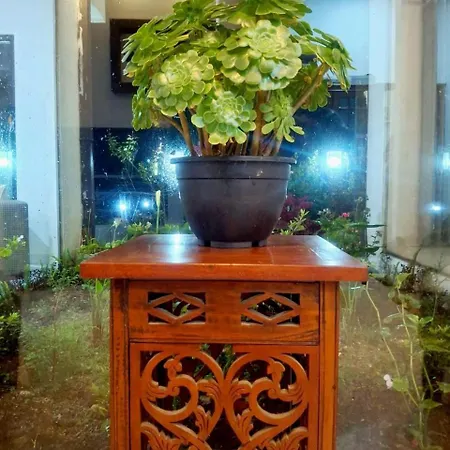 Ivy Nuwara Eliya