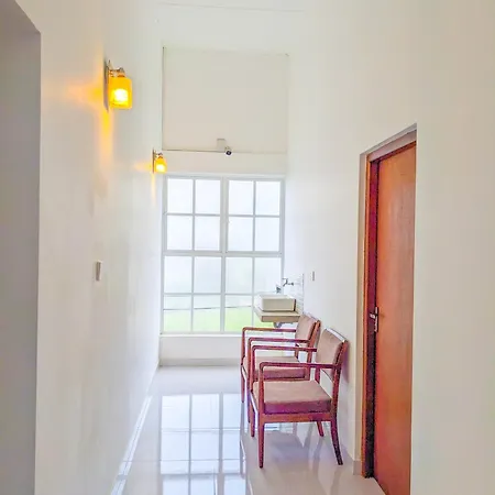 Ivy * Nuwara Eliya