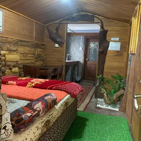 Homestay 20/20 Wood *