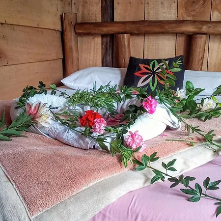 Guest house The Paulwood Caban & Cafe Timeless Brew Nuwara Eliya