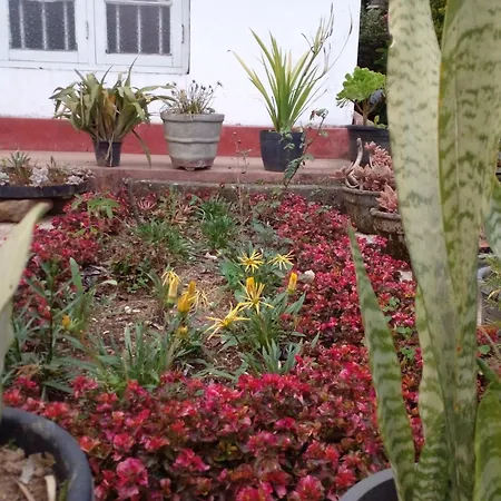 Homestay Blackpool 55 Nuwara Eliya