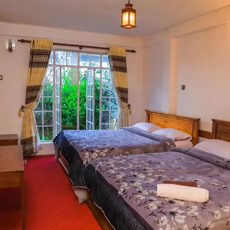 Hotel Single Tree