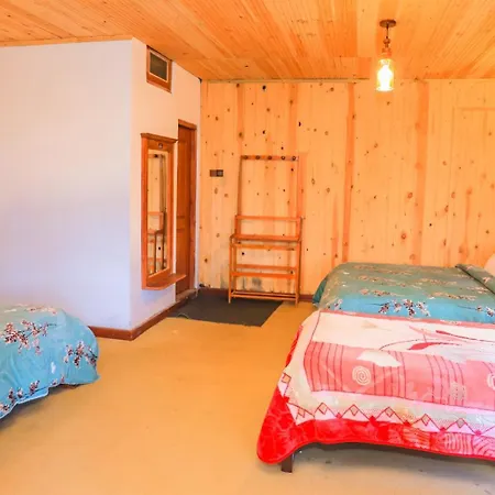 Single Tree Hotel *