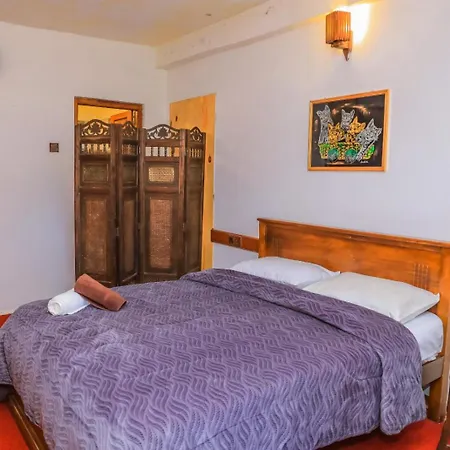 Single Tree Hotel