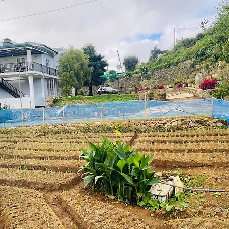 Lavender Hotel Nuwara Eliya
