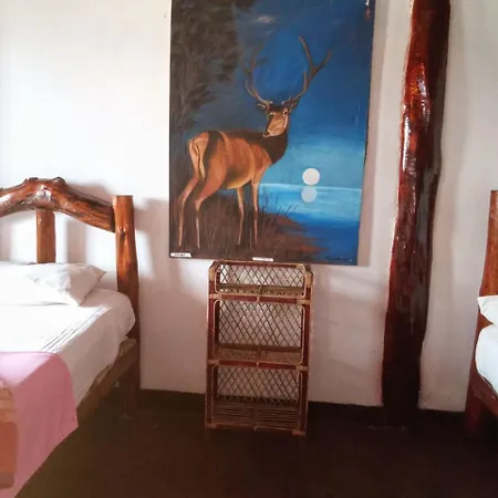The Paulwood Caban & Cafe Timeless Brew Guest house