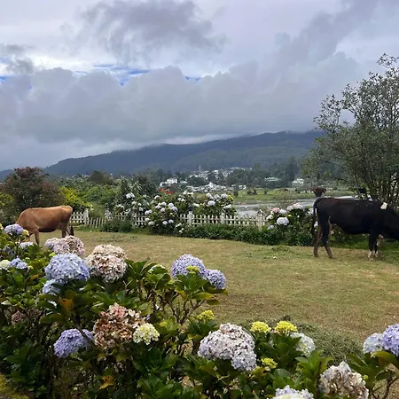 Lakeside Garden 湖畔花园山居