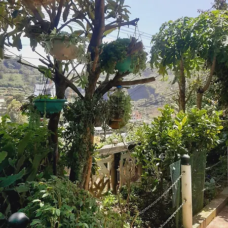 Mapelle House 3*