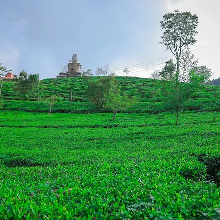 Hotel Single Tree Nuwara Eliya