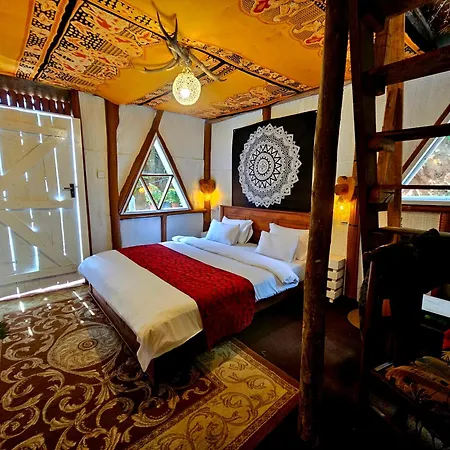 Hostel Haven Backpackers