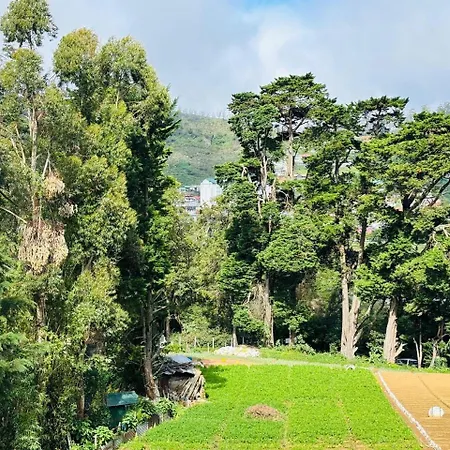 Misty Mountains Apartment Nuwara Eliya