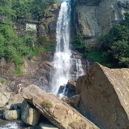 Peace Nest * Nuwara Eliya