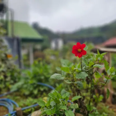 Chez Rooftop * Nuwara Eliya