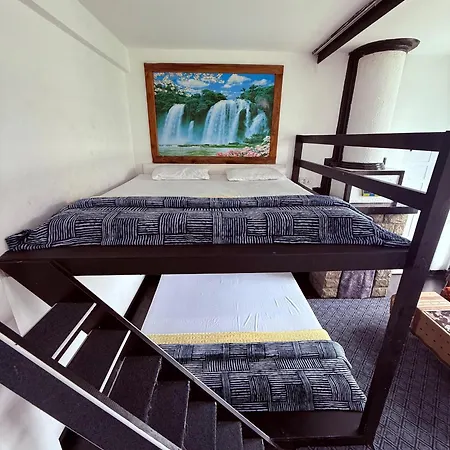 Shiny Cot Full