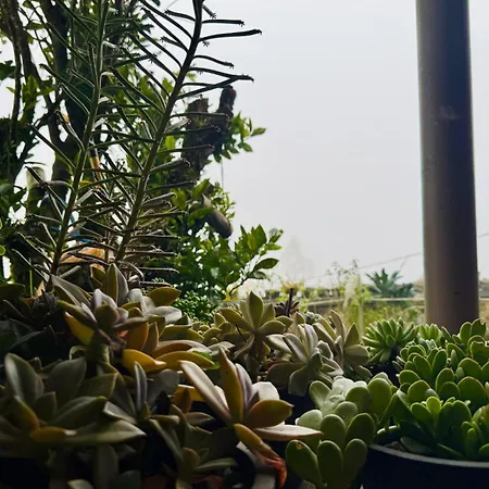 Lakshmi Illam Homestay Nuwara Eliya