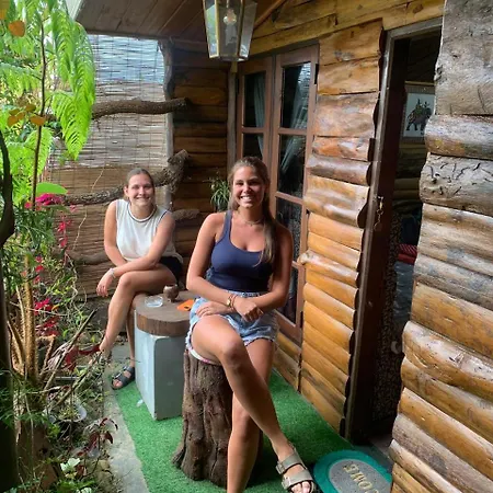 Homestay 20/20 Wood *