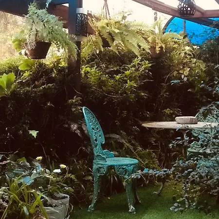 Guest house Serendipity Artistic By Heidis