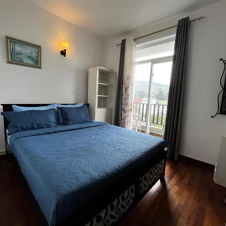 Luxury Apartment