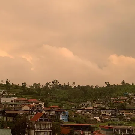 20/20 Wood Nuwara Eliya