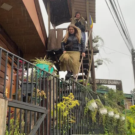 20/20 Wood Homestay